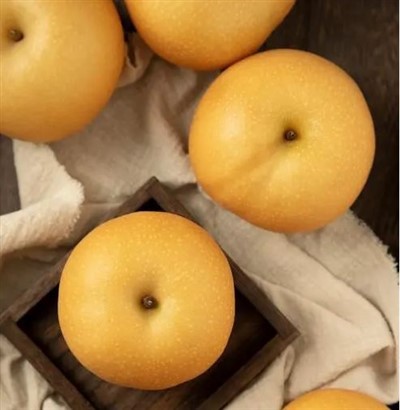 Lanġas Asjatiku ġgant